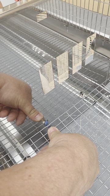 сборка клетки нюансы смотреть онлайн