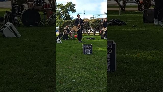 Что за странная свобода Последний косарь #питер #музыкаулиц смотреть онлайн