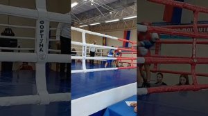 турнир по боксу, посвящённый "Международному дню бокса" 27.08.25г. г. Геленджик