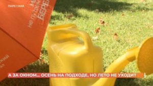 А за окном. 29 августа 2025