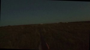 2025_08_28_одиночная_куропатка