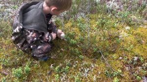 29-08-2025 тихая охота в Карелии началась