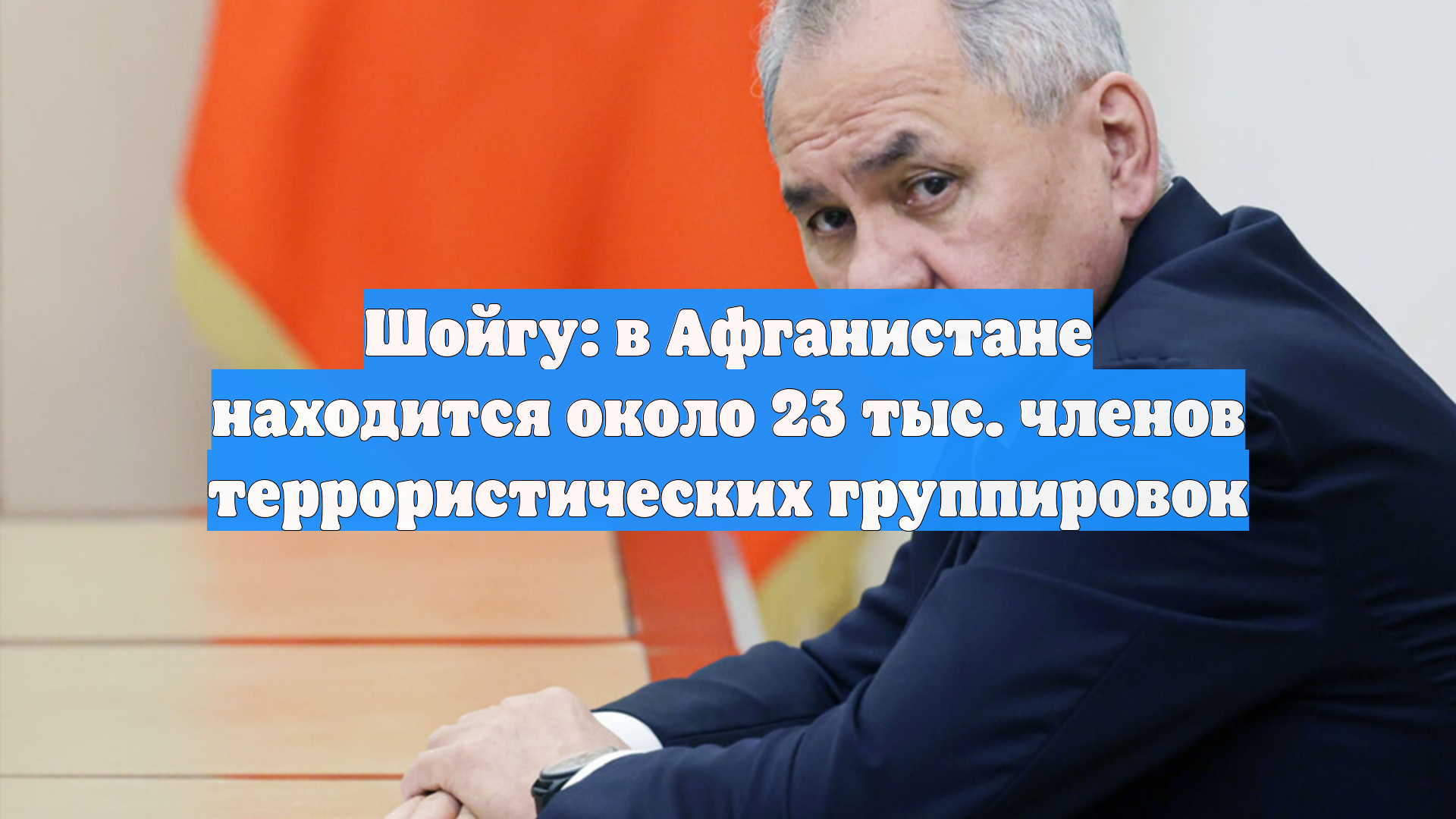 Шойгу: в Афганистане находится около 23 тыс. членов террористических группировок