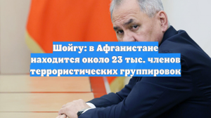 Шойгу: в Афганистане находится около 23 тыс. членов террористических группировок