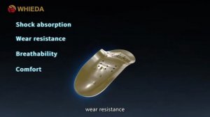 Insoles with anions WHIEDA