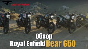 Обзор Royal Enfield BEAR 650 | "Медведь" с характером