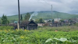 Блюдо по карману каждому пенсионеру и др домашние дела