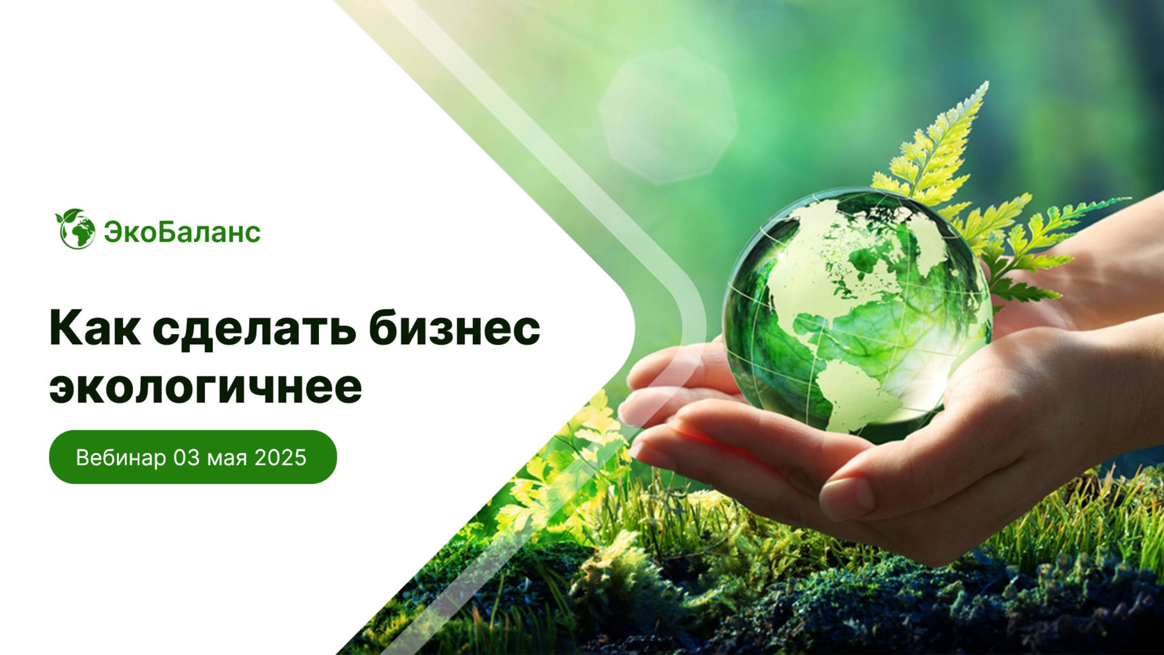 Презентация для вебинара эко-компании