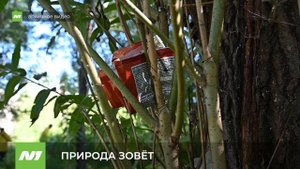 Экологический конкурс «Зов Природы». Нижневартовск