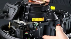 Suzuki DF8A⧸DF9.9A