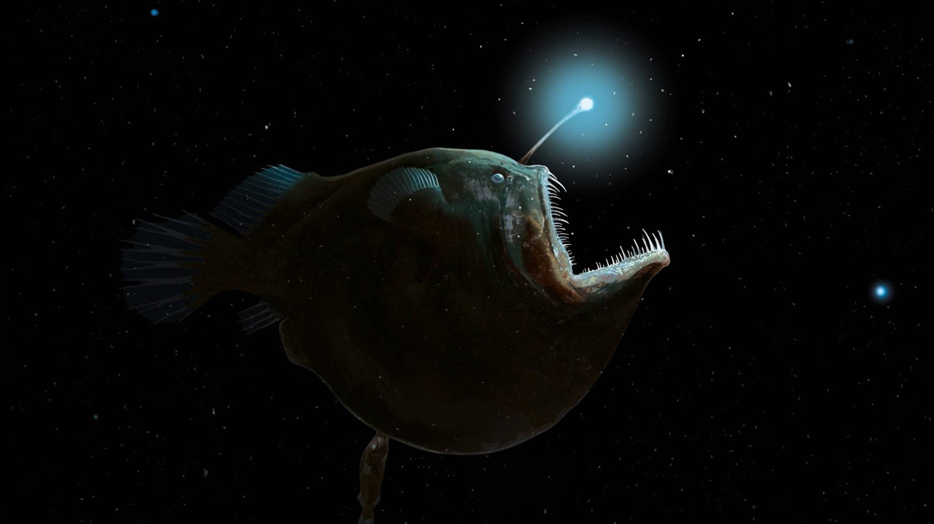 Бездна Океанов — Обитатели вечной тьмы. смотреть онлайн