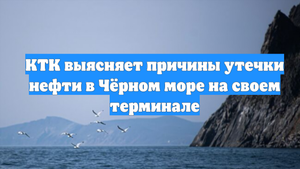 КТК выясняет причины утечки нефти в Чёрном море на своем терминале