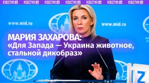 Захарова — жестко об Украине: «Для Запада — она животное, стальной дикобраз»