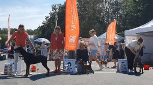 13.07.2025, СПб. Клуб "Триумф-1" (РКФ, РФСС). Выставка собак САС 2 группы FCI