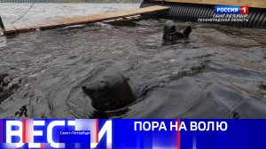 Вести Санкт-Петербург. Выпуск 11.30 от 29.08.2025