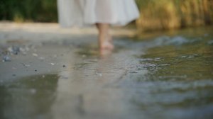 На встречу мечте