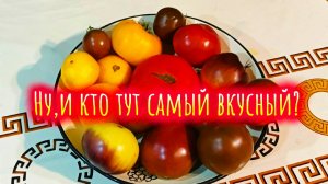 Ищем самый вкусный помидор.🍅 Очередная дегустация.❤️