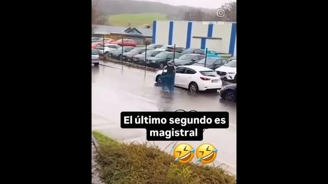 Funniest Videos Animals 🐧 Best Of The 2024 Funny Animal Videos😁 смотреть онлайн