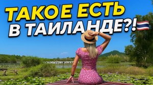ТОП-места Районга: райское ОЗЕРО с лотосами и кафе- САМОЛЕТ | Паттайя