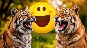 СМЕШНЫЕ МОМЕНТЫ С ЖИВОТНЫМИ И ЛЮДЬМИ ДО СЛЁЗ😂//Дикий смех: звери и люди без тормозов! 😂 #44