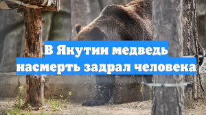 В Якутии медведь насмерть задрал человека