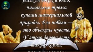 Бхагават-гита 15.1-4