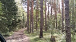 😂 Лесной переполох 😲😂🤗♥️