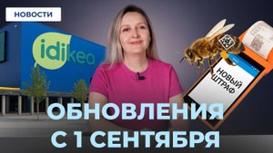 Штрафы за Кассу // Маркировка пчел // Новый маркетплейс!