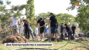 В Элисте до 24 сентября пройдут дни благоустройства и озеленения