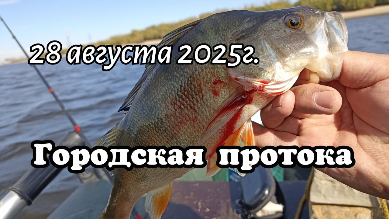 Городская протока.