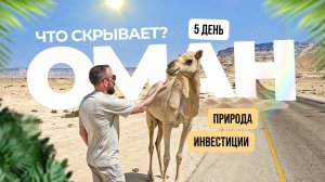 Оман: черепахи, розовые озёра и советы для инвесторов