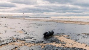 29-08-2025. ЧП. КАТАКЛИЗМЫ. КАТАСТРОФЫ. ПРОИСШЕСТВИЯ ЗА ДЕНЬ.