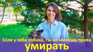 Об усыплении животных, роковых выездах и высоком чеке: с чем и как ежедневно работает ветеринар