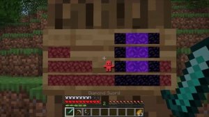 Какой то чел прошел Майнкрафт на табличке .