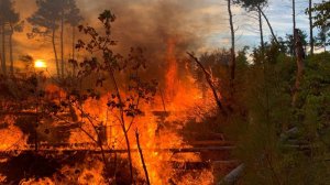 Борьба с природным пожаром продолжается в Геленджике. Объявлена эвакуация населения