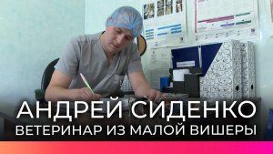 Съемочная группа НТ пообщалась с молодым ветеринаром из Малой Вишеры