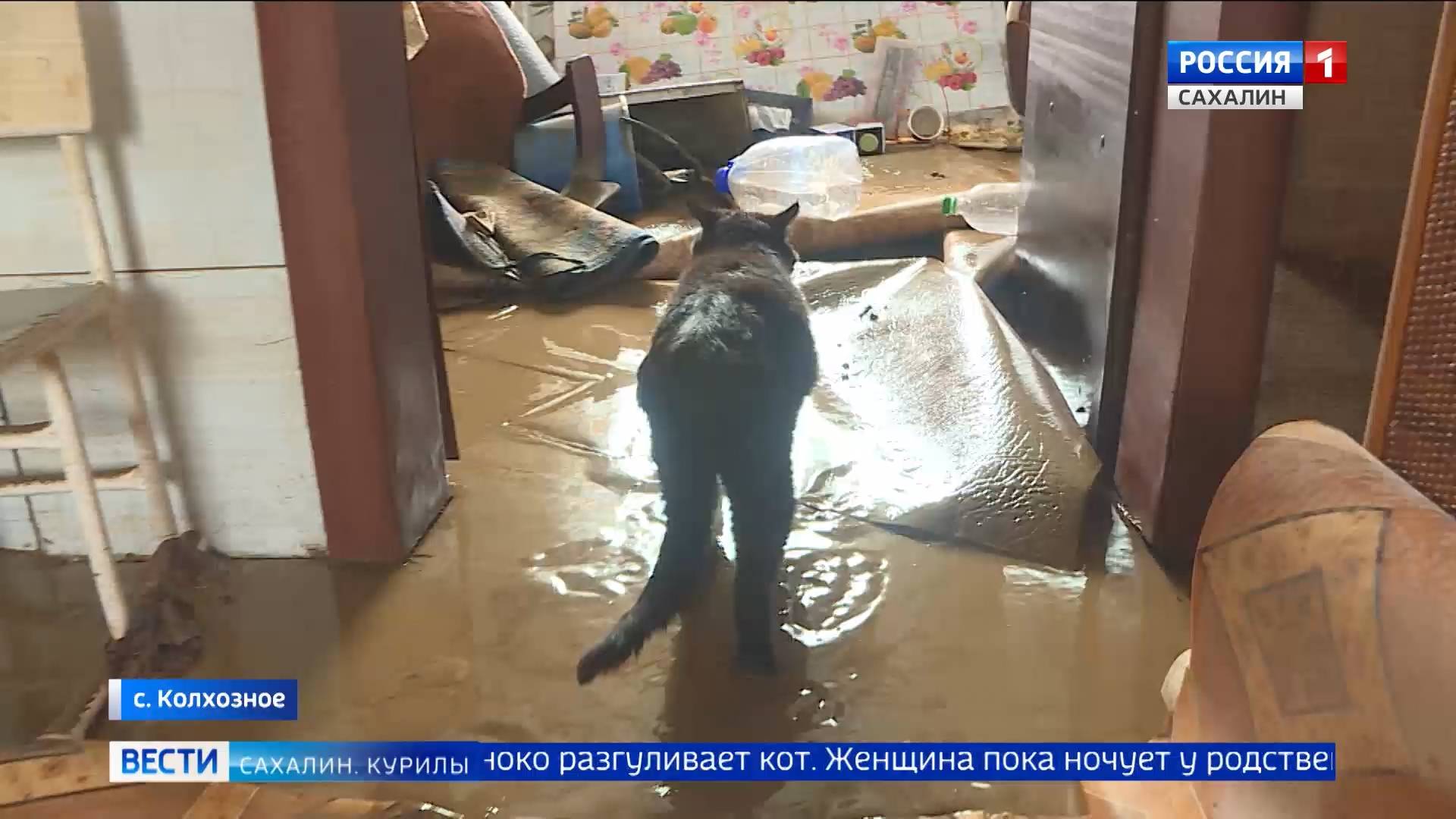 "Вести. Сахалин. Курилы". 28 августа 2025 года смотреть онлайн