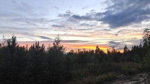 Поход в леса Подмосковья (Мещёра)