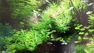 Рыма чек ---экономит на всем - но не на себе.

,,