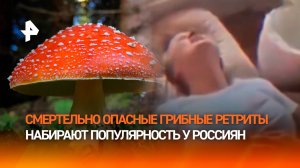 Ловушка от псевдокоучей: кто зарабатывает на грибных ретритах