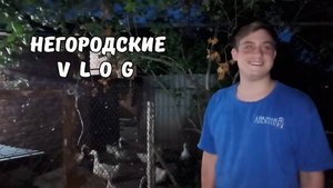 Вечер с НУТРЯШКАМИ и ЩЕНКАМИ. Куда поступил учиться ИЛЬЯ. 24.08.25