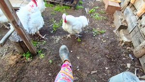 На хозяйстве в деревне,Отдала на перевоспитание,Утро и я иду туда