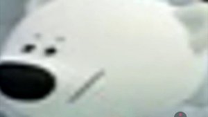 дебилишки (видео не моё)