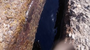 День 12 (27.08.25) - Турбаза Энергетик