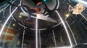 Аэротруба "Аэродинамика" 23.08.2025 Кролик и Инструктор Мария Вилкова