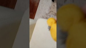 обзор на игрушку мульти-пульти корней корнеич из Лунтика