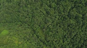 Белый орел - Как Упоительны В России Вечера