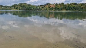 Видео музыкальные клипы, Музыкальные клипы новое видео