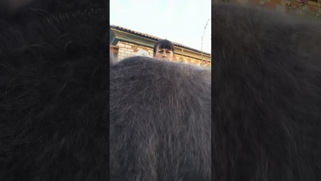 1000192643.mp4 Пуховая красота.т.89020931602 смотреть онлайн