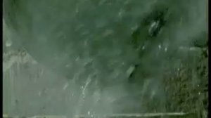 НТВ - Концепт (2005) (2)